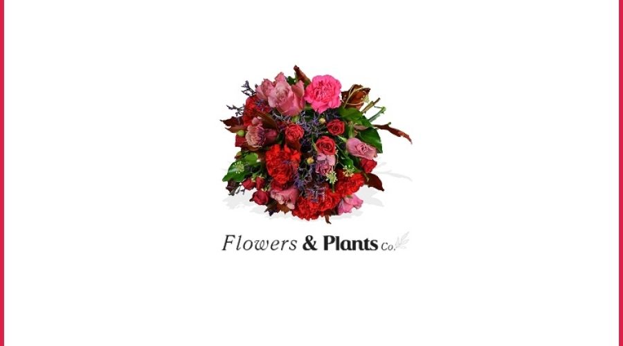 Flowers & Plants